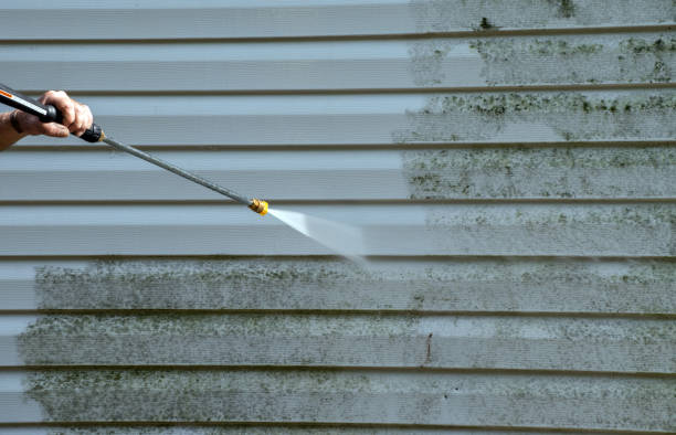 Best Affordable Power Washing  in Camden, AL