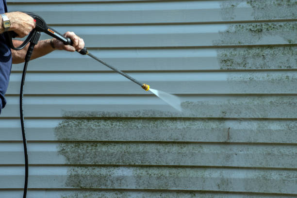 Best Residential Pressure Washing Services  in Camden, AL