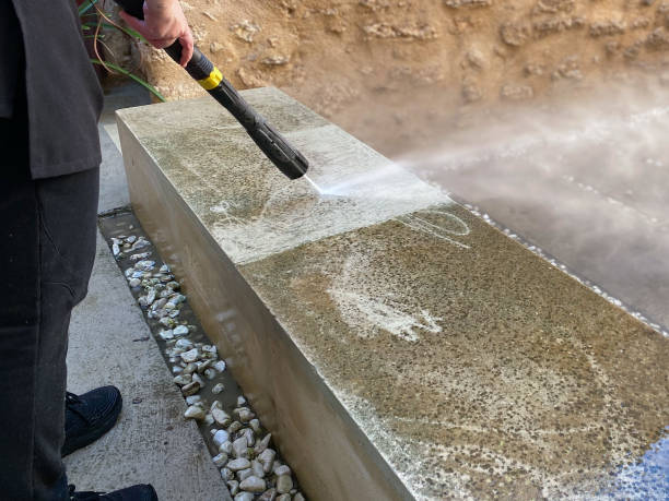 Best Local Pressure Washing Services  in Camden, AL