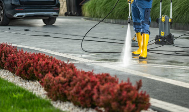 Best Affordable Pressure Washing  in Camden, AL