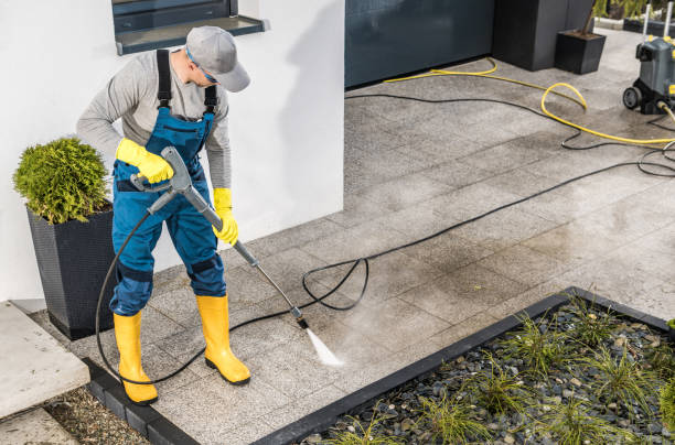 Best Power Washing Near Me  in Camden, AL