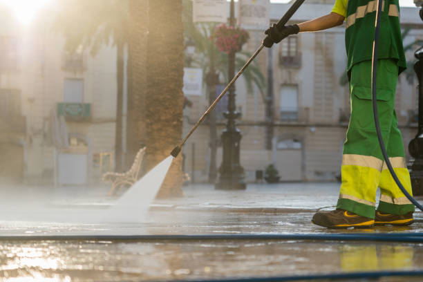 Professional Pressure Washing in Camden, AL