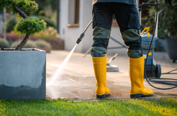 Best Local Pressure Washing Services  in Camden, AL